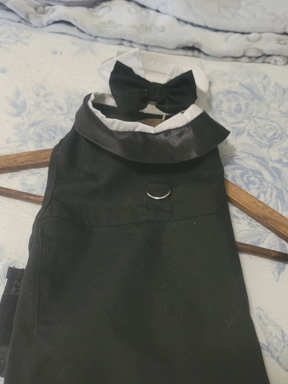 Black Women’s Dog  Tuxedo with Contrast Collar